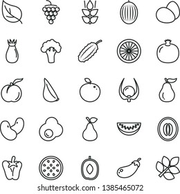 thin line vector icon set - eggs vector, peper, garlic, fried egg, pear, mint, ripe peach, pomegranate, large grape, rose hip, melon, delicious plum, half, water slice, of passion fruit, orange