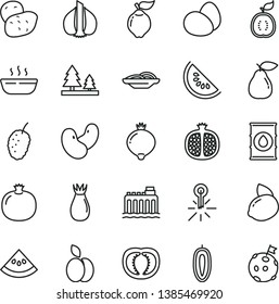 thin line vector icon set - eggs vector, slices of onion, hot porridge, apple, pomegranate, half, quince, pear, rose hip, medlar, tasty mulberry, slice water melon, sweet date fruit, yellow lemon