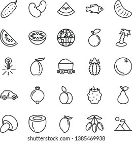 thin line vector icon set - porcini vector, cucumber, fish, apple, pear, orange, medlar, blackberry, blueberry, slice of water melon, mango, loquat, goji berry, tangerine, half coconut, grapefruit