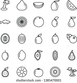 thin line vector icon set - small fish vector, blueberries, orange slice, fig, melon, half of mango, loquat, passion fruit, sweet date, lime, kiwi, tamarillo, sour, guava, guawa, piece coconut, ripe
