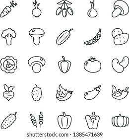 thin line vector icon set - fried vegetables on sticks vector, mushroom, porcini, cucumber, tomato, chili, peper, beet, squash, mulberry, goji berry, Bell pepper, ripe, hot, onion, potato, carrot