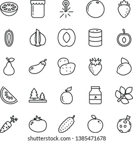 thin line vector icon set - cucumber vector, tomato, jam, jar of, pear, raspberry, strawberry, slice water melon, half peach, cherry, sweet date fruit, yellow lemon, delicious apple, guava, garlic