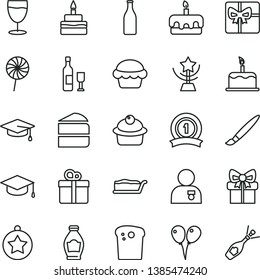 thin line vector icon set - tassel vector, colored air balloons, gift, cake, square academic hat, Easter, muffin, piece of, slice, torte, birthday, lollipop, glass, bottle, giftbox, star cup, ribbon