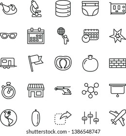thin line vector icon set - calendar vector, nappy, brickwork, flag, big data, move right, chicken, pomegranate, date fruit, half tomato, planet Earth, stall, schedule, pc card, microscope, molecule