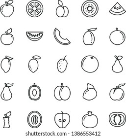 thin line vector icon set - apple vector, pear, ripe peach, pomegranate, apricot, red, tasty, mulberry, slice of melon, mango, loquat, delicious plum, half, water, tangerine, lemon, yellow, juicy