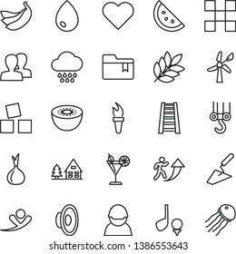 thin line vector icon set - women vector, loudspeaker, folder bookmark, cloud, cubes for children, winch hook, trowel, stepladder, tile, heart, drop, cocktail, orange slice, bananas, kiwi, onion