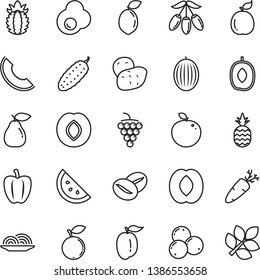 thin line vector icon set - onion vector, cucumber, carrot, coffee beans, fried egg, a pineapple, orange slice, large grape, pear, plum, blueberry, blueberries, melon, of, goji berry, delicious