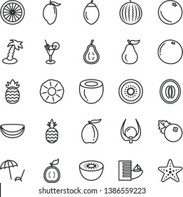 thin line vector icon set - blueberries vector, a pineapple, orange, water melon, mango, loquat, half, kiwi, of, tamarillo, guawa, piece coconut, slice, grapefruit, ripe guava, part, physalis, hotel