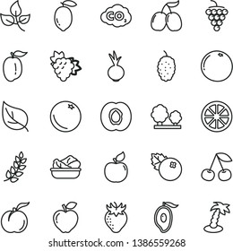 thin line vector icon set - lettuce in a plate vector, beet, blueberries, orange, cherry, ripe peach, half apricot, branch of grape, large, red apple, strawberry, mulberry, tasty cornels, mango