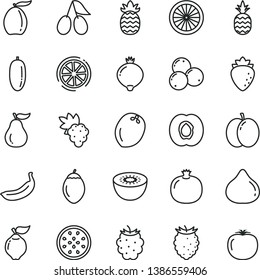 thin line vector icon set - a pineapple vector, apple, half apricot, pomegranate, grape, quince, raspberry, cornels, fig, medlar, blackberry, tasty, blueberries, loquat, date fruit, banana, kiwi