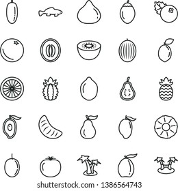 thin line vector icon set - small fish vector, blueberries, orange, fig, melon, mango, half of, loquat, date fruit, slice tangerine, passion, lime, kiwi, tamarillo, sour, ripe pineapple, guava, part