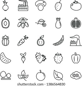 thin line vector icon set - garden trolley vector, tomato, beet, half pomegranate, branch of grape, rose hip, blackberry, tasty mulberry, goji berry, delicious plum, slice tangerine, guawa, carrot