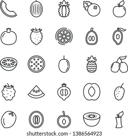 thin line vector icon set - blueberries vector, pomegranate, apricot, half of medlar, blackberry, tasty raspberry, mulberry, cornels, melon, slice, mango, peach, loquat, cherry, passion fruit, kiwi