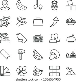 thin line vector icon set - bookmark vector, keyboard, women, remove label, cubes for children, color samples, tile, porcini, a bowl of rice porridge, plate fruit, orange slice, tangerine, pineapple