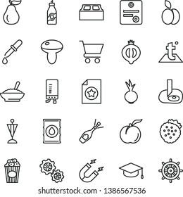 thin line vector icon set - building block vector, temperature, electronic boiler, cart, square academic hat, mushroom, a bowl of buckwheat porridge, beet, cup popcorn, strawberries, apple, liquor