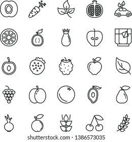 thin line vector icon set - beet vector, a glass of tea, strawberries, orange, mint, cherry, apple, half apricot, pomegranate, large grape, pear, red, tasty, rose hip, blackberry, blueberry, mango