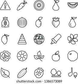 thin line vector icon set - warning vector, stacking toy, cabbage, cucumber, carrot, strawberries, pear, squash, apricot, strawberry, water melon, mango, slice, half of kiwi, sour lime, pineapple