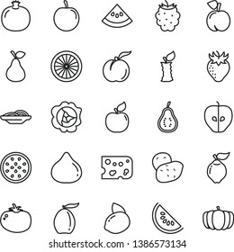 thin line vector icon set - piece of cheese vector, slices onion, tomato, pear, peach, ripe, pomegranate, squash, quince, apricot, tasty apple, strawberry, fig, blackberry, slice water melon, loquat