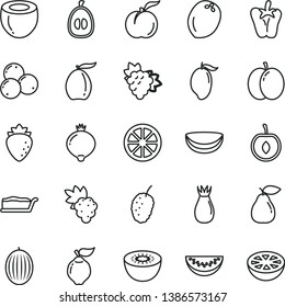 thin line vector icon set - cake slice vector, peper, ripe peach, apple, grape, branch of, quince, pear, raspberry, rose hip, medlar, blueberries, tasty mulberry, melon, mango, loquat, water, half