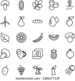 thin line vector icon set - picture vector, loaf, porcini, pear, honeycombs, branch of grape, large, quince, medlar, tasty mulberry, water melon slice, sweet date fruit, juicy lemon, pineapple, peas