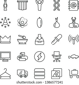 thin line vector icon set - monitor vector, deep plate with a spoon, picture, address book, put in box, hanger, small fish, bottle of soda, date fruit, onion, Express delivery, printer, wireless