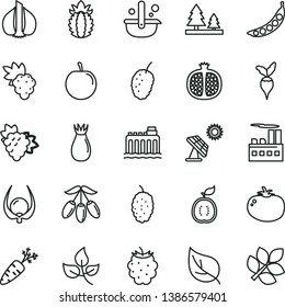 thin line vector icon set - tomato vector, half pomegranate, grape, branch of, rose hip, blackberry, mulberry, tasty, goji berry, plum, guawa, ripe pineapple, physalis, garlic, carrot, peas, radish