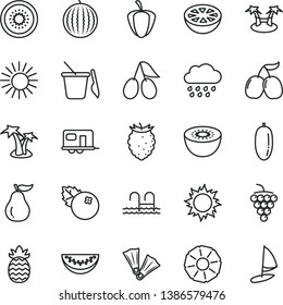 thin line vector icon set - rainy cloud vector, children's sand set, blueberries, large grape, cornels, tasty raspberry, water melon, slice, date fruit, kiwi, half of, pineapple, grapefruit, pepper