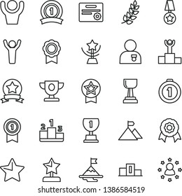thin line vector icon set - star vector, pedestal, medal, laurel branch, winner podium, prize, award, gold cup, reward, man hands up, with, motivation, mountain flag, first place, pennant, ribbon