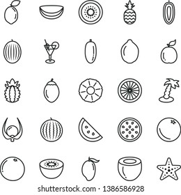thin line vector icon set - a pineapple vector, orange slice, melon, water, mango, date fruit, sweet, lime, kiwi, half of, passion, tamarillo, sour, guava, piece coconut, ripe, grapefruit, physalis