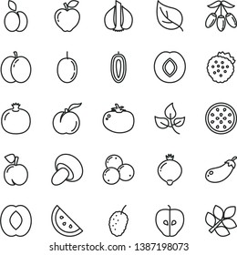 thin line vector icon set - porcini vector, tomato, strawberries, apple, orange slice, peach, ripe, pomegranate, red, tasty, plum, medlar, blueberries, mulberry, goji berry, half, passion fruit, of