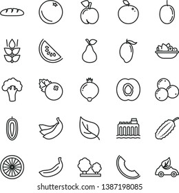 thin line vector icon set - loaf vector, a plate of fruit, blueberries, pear, orange, mint, peach, half apricot, medlar, slice melon, water, mango, passion, sweet date, banana, bananas, broccoli