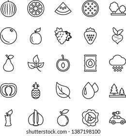 thin line vector icon set - cloud vector, strawberry, a pineapple, pear, orange, branch of grape, squash, blueberry, water melon, half cherry, juicy lemon, passion fruit, guava, slice, apple stub