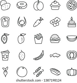 thin line vector icon set - pizza vector, burger, muffin, birthday cake, with a hole, meat on skewers, carrot, French fries, japanese sushi, popcorn, small fish, coffe to go, sandwich, apple, tomato