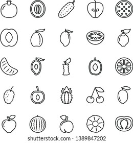 thin line vector icon set - cucumber vector, cherry, peach, pomegranate, quince, red apple, tasty, mulberry, water melon, mango, half of, loquat, delicious plum, slice tangerine, lemon, juicy, stub