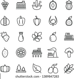 thin line vector icon set - grape vector, large, rose hip, mulberry, tasty cornels, delicious plum, juicy lemon, guava, half of guawa, ripe pineapple, physalis, Bell pepper, garlic, broccoli, leaf