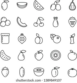 thin line vector icon set - jam vector, blueberries, strawberry, apple, orange slice, cherry, pear, red, raspberry, rose hip, half of medlar, tasty cornels, melon, date fruit, tangerine, ripe plum