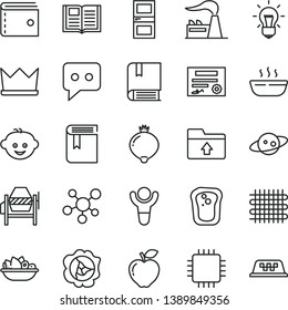 thin line vector icon set - purse vector, upload folder, book, children's hairdo,, concrete mixer, interroom door, hot porridge, a plate of fruit, sandwich, squash, red apple, medlar, factory, cpu