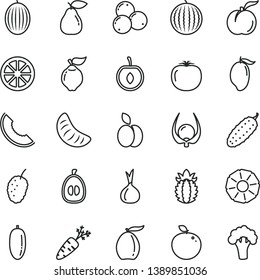 thin line vector icon set - cucumber vector, apple, ripe peach, quince, pear, blueberries, tasty mulberry, melon, water, slice of, mango, loquat, date fruit, tangerine, half, cherry, juicy lemon