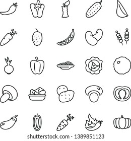 thin line vector icon set - fried vegetables on sticks vector, slices of onion, porcini, lettuce in a plate, cabbage, cucumber, peper, beet, garlic, carrot, squash, mulberry, sweet date fruit, red