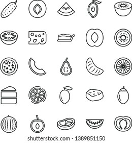 thin line vector icon set - piece of cheese vector, pizza, cake, slice, bacon, meat, cucumber, plum, water melon, half mango, peach, tangerine, cherry, lemon, kiwi, tamarillo, orange, grapefruit