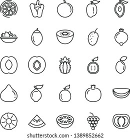 thin line vector icon set - a plate of fruit vector, peper, pomegranate, large grape, quince, plum, fig, medlar, tasty mulberry, half mango, peach, tangerine, ripe, kiwi, tamarillo, sour lime, guava