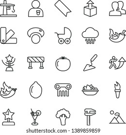 thin line vector icon set - bookmark vector, women, baby stroller, cloud, building trowel, color samples, traffic signal, unpacking, a plate of fruit, chili, lime, persimmon, hot pepper, mashroom