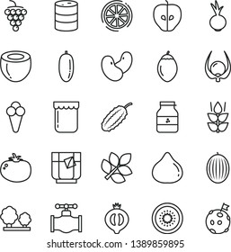 thin line vector icon set - tomato vector, beet, a glass of tea, cone, jam, jar, mint, large grape, tasty apple, fig, half medlar, melon, date fruit, kiwi, tamarillo, slice lemon, coconut, physalis