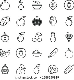 thin line vector icon set - mercury thermometer vector, deep plate with a spoon, of fruit, chili, beet, sushi, omelette, cherry, ripe peach, half apricot, pomegranate, large grape, quince, plum