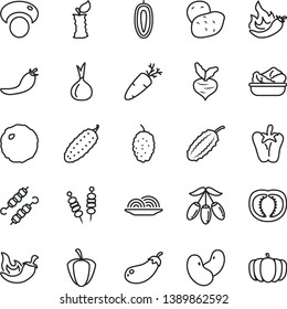 thin line vector icon set - fried vegetables on sticks vector, onion, lettuce in a plate, meat skewers, cabbage, cucumber, chili, peper, carrot, mulberry, goji berry, sweet date fruit, apple stub