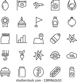 thin line vector icon set - pennant vector, negative histogram, question, winch hook, car, label, Hot Dog, birthday cake, bottle, medlar, tamarillo, physalis, radish, CO2, jar, vintage sign, sale