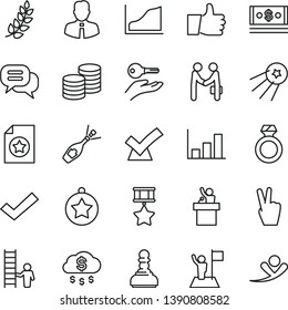 thin line vector icon set - check mark vector, employee, thumb up, coins, cash, growth graph, laurel branch, pawn, star medal, man with flag, hero, certificate, ladder, diamond ring, arm key, dialog