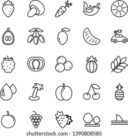 thin line vector icon set - porcini vector, chili, a pineapple, cherry, apple, branch of grape, large, raspberry, blackberry, blueberries, goji berry, slice tangerine, half loquat, tasty plum, lemon