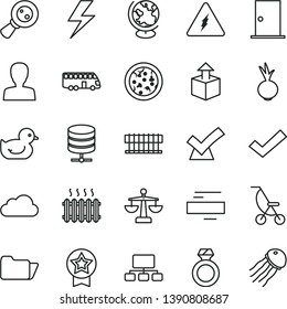 thin line vector icon set - lightning vector, woman, minus, check mark, scales, summer stroller, baby duckling, ntrance door, big data server, unpacking, pizza, beet, cast iron radiator, scheme, fan