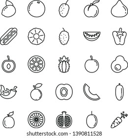 thin line vector icon set - Hot Dog vector, chili, peper, fried egg, ripe peach, half apricot, pomegranate, fig, blueberry, mulberry, tasty, slice of melon, water, date fruit, plum, cherry, passion